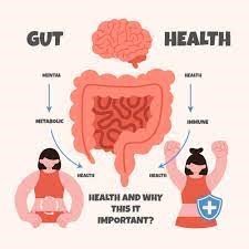 The Impact of Gut Health on Overall Wellness